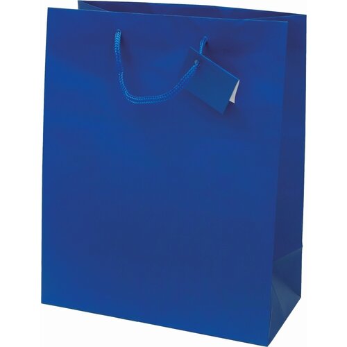  Vrečka darilna plast. mat a4 32,4x12,7x26 PROMOCIJA - MODRA Cene