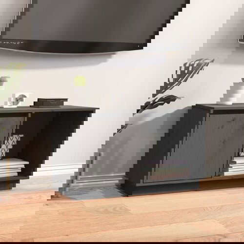 VidaXL TV omarica siva 74x35x44 cm trdna borovina Slike