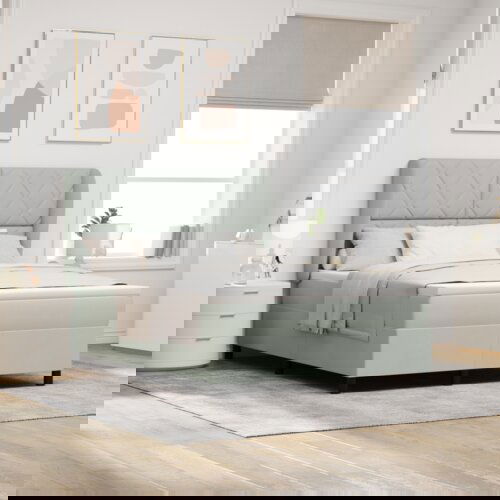 Box Spring Krevet s Madracem Svjetlosiva 160x200 cm Baršun Cijene