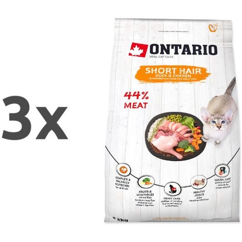 Ontario Cat Shorthair - raca in pi&scaron;čanec 3 x 2 kg Cene