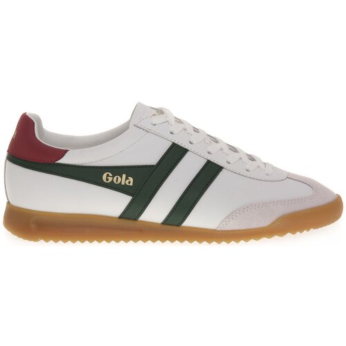 Gola Modne superge WN TORPEDO WHITE GREEN Bela Slike