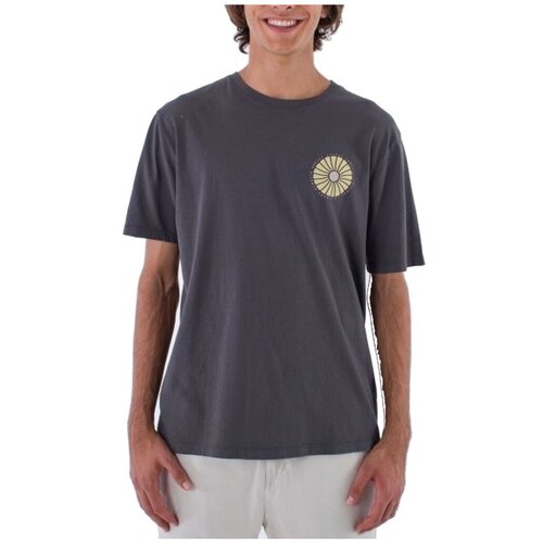 Hurley Majice &amp;amp; Polo majice EVD NATURALS SS TEE Siva Slike