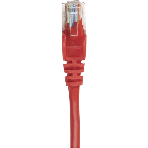 Intellinet 737029 RJ45 omrežni kabel\, Patch kabel CAT 6a S/FTP 0.25 m rdeča enojna za&amp;scaron;čita\, skupna za&amp;scaron;čita\, brez halogena 1 kos, (20530675) Slike
