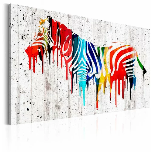  Slika - Colourful Zebra 60x40