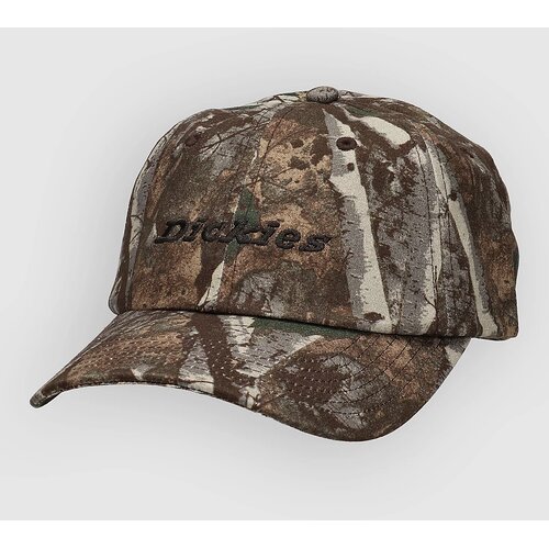 Dickies Middlefield Wash Dad Cap camouflage Cijene