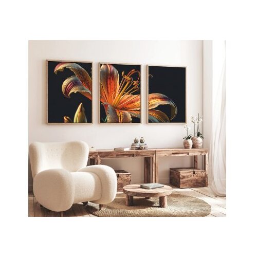 Wallity dekorativna slika Huhu221, 35x50cm, 3 dela Slike