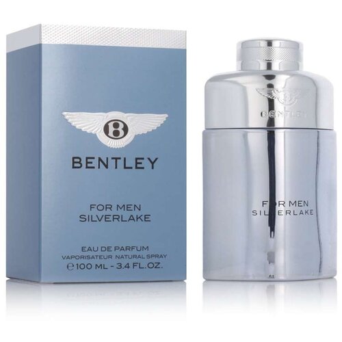 Parfem For Men Silverlake parfumska voda za moške 100 ml Cene