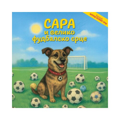 ILearn Tina Horvat - Sara i veliko fudbalsko srce Slike