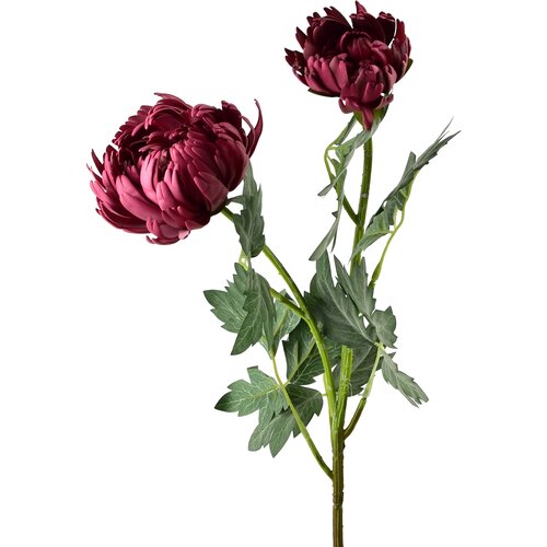 Mondex Umetna veja krizanteme plastika Viridis 69cm zelena 2kos, (5000331413) Slike