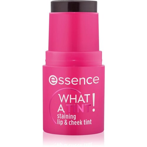 Essence WHAT A TINT! večnamensko ličilo za ustnice in lica odtenek 10 Raspberry Vibes 5 g Slike