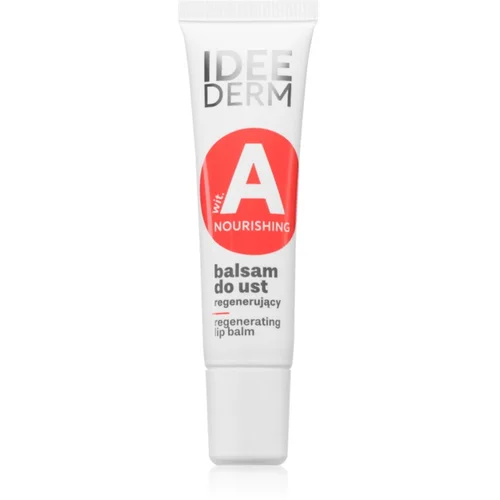 Ideepharm Idee Derm Vitamin A regenerirajući balzam za usne 12 ml