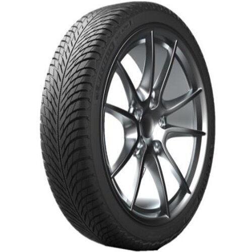 Michelin 255/35R19 96V PILOT ALPIN 5 FSL Slike