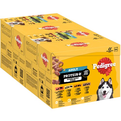 Pedigree Adult Fresh Pouch Protein Plus u želeu - 48 x 85 g (4 varijante) Cijene