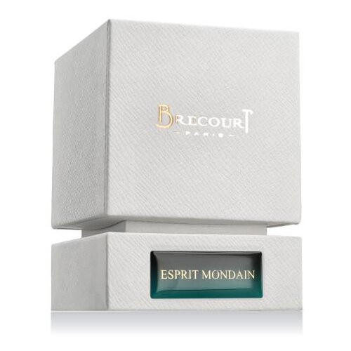 Brecourt Esprit Mondain 50 ml parfemska voda za mu&amp;scaron;karce Slike