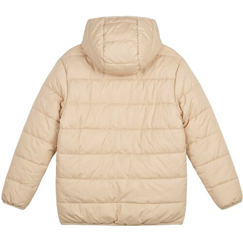 Patagonia Puhovke REVERSIBLE READY FREDDY HOODY Bež Slike