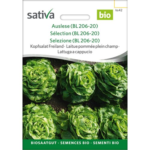 BIO solata Freiland "Brighella" - 0,25 g Cene