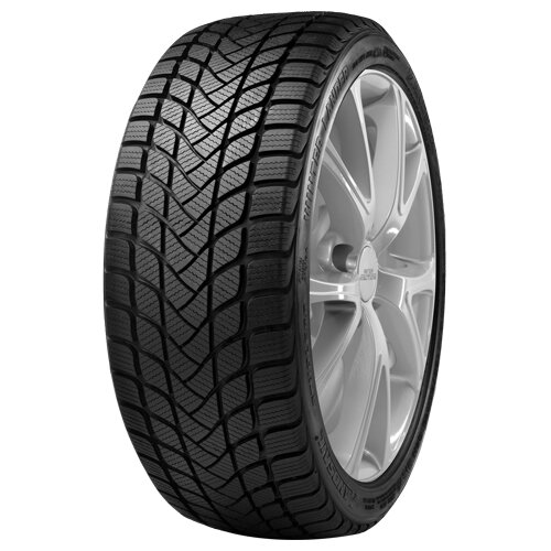 Landsail Winter Lander 205/65 R15 94H Cene