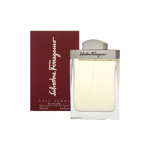 Salvatore Ferragamo Pour Homme toaletna voda 100 ml za mo&scaron;ke Cene