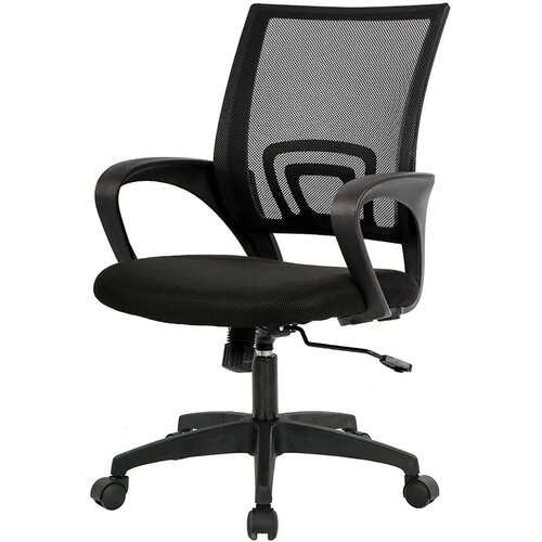Timeless Tools Ergonomski pisarni&scaron;ki stol s kolesi in naslonjali za roke, mrežna hrbtna opora, nastavljiva vi&scaron;ina - različne barve, (5000319320) Cene