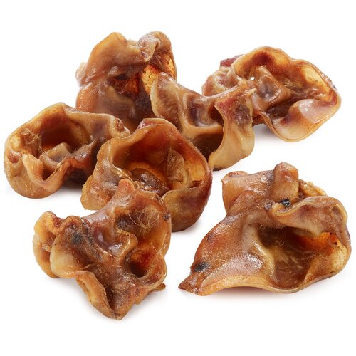 Phil &amp;amp; Sons svinjske u&amp;scaron;esne &amp;scaron;koljke v &amp;scaron;katli za shranjevanje - 3 x 1,25 kg Slike
