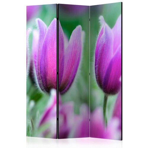 Artgeist Paravan Purple Spring Tulips, 3-Delni, Dvostranski Cene