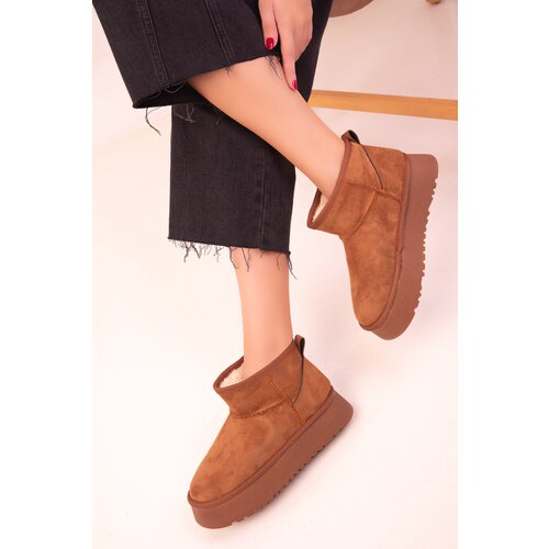 Soho Tan Women's Suede Boots & Booties 18351 Cijene