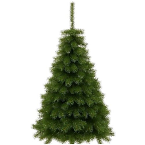  Božićna jelka MORINGA 180 cm bor Cene