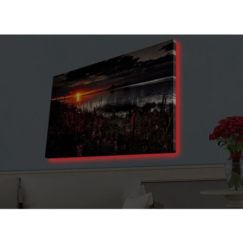 Wallity Slika sa LED osvetljenjem 4570HDACT-002, 45x70 cm Cene