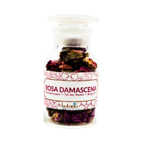 botania Rosa Damascena Premium Cene