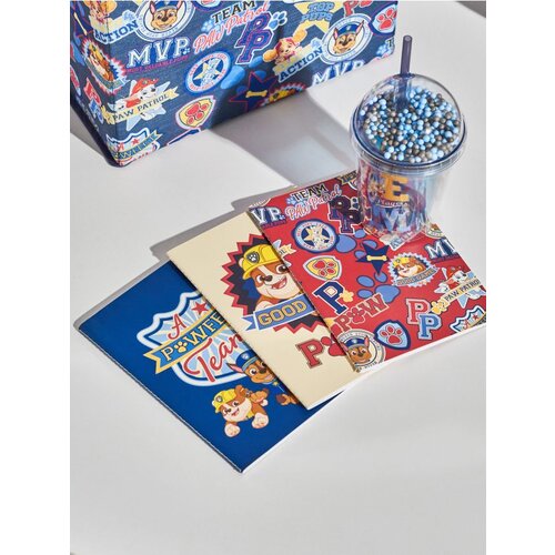 Sinsay Bilježnice A5 3 pakiranje Paw Patrol Cijene