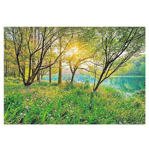 Komar Potiskana tapeta Spring Lake (8 -del., Š x V: 368 x 254 cm, Papir) Cene