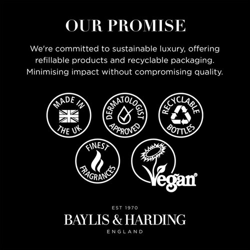 Baylis &amp;amp; Harding Vetiver, Cedar &amp;amp; Lemongrass Anti-Bacterial tekući sapun za ruke 500 ml Slike