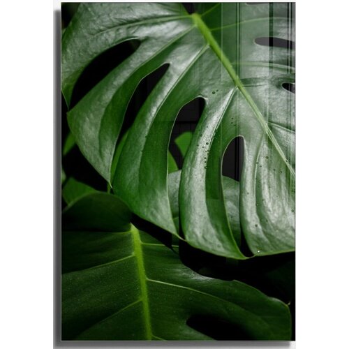 Wallity Staklena slika 70x100 cm Monstera - Slike