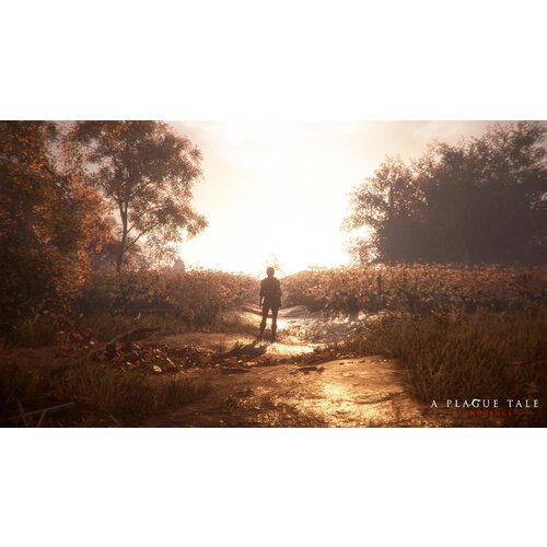 Focus Home Interactive A Plague Tale: Innocence (Playstation 4) Cene