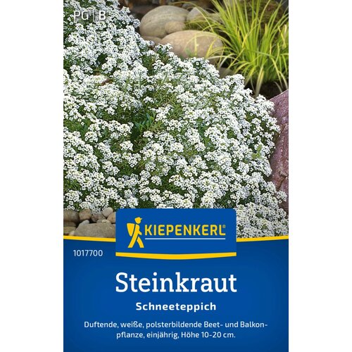 KIEPENKERL Grobeljnik "Alyssum beli" - 1 pkt. Cene