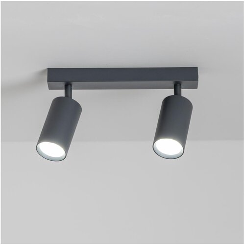  Brilagi - Spot svetiljka SELE 2xGU10/30W/230V antracit Cene
