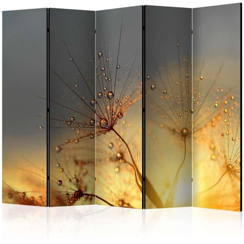  Paravan u 5 dijelova - Summer Solstice II [Room Dividers] 225x172 Cijene