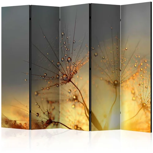  Paravan u 5 dijelova - Summer Solstice II [Room Dividers] 225x172