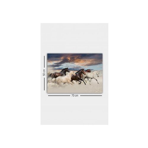Wallxpert Slika na platnu 50x70cm Slike
