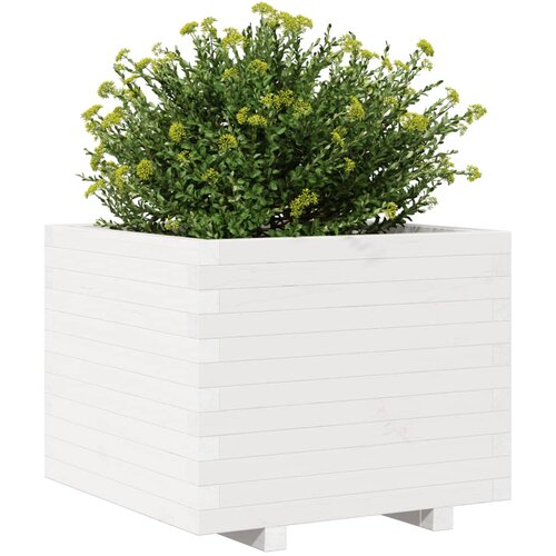  Vrtna sadilica bijela 60x60x49,5 cm od masivne borovine Slike