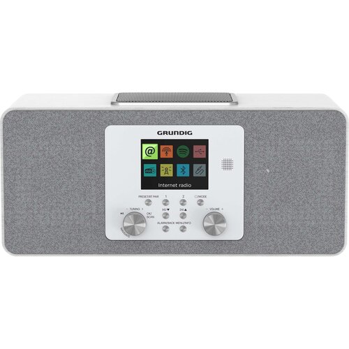 Grundig DTR 6100 wei&szlig; Cijene