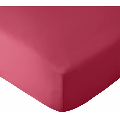 Catherine Lansfield Temno rožnata napenjalna rjuha 135x190 cm So Soft –