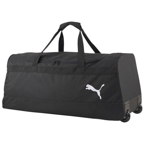 Puma Teamgoal 23 sarena Cene