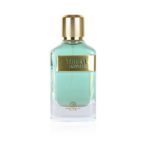 Grandeur Tribal Exotic 100 ml parfemska voda za muškarce Cijene