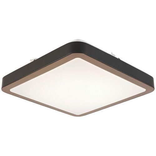 Novel stropna led-svetilka 37/37/8 cm Cene