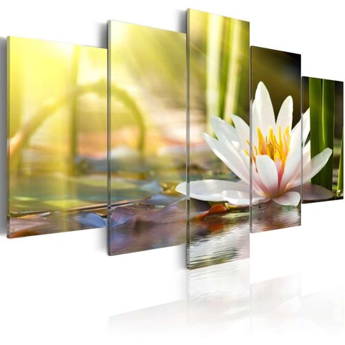  Slika - Sunny Lotus 100x50 Slike