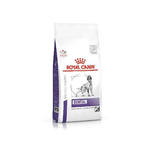 Royal Canin Dental dog 6kg Slike
