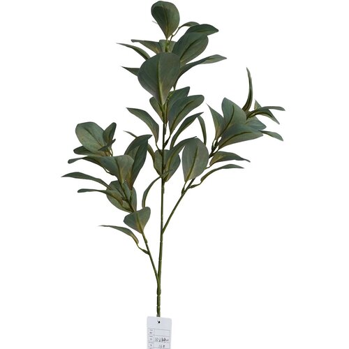  Rezano cvijeće grana zelenila 83 cm 31528013 Slike