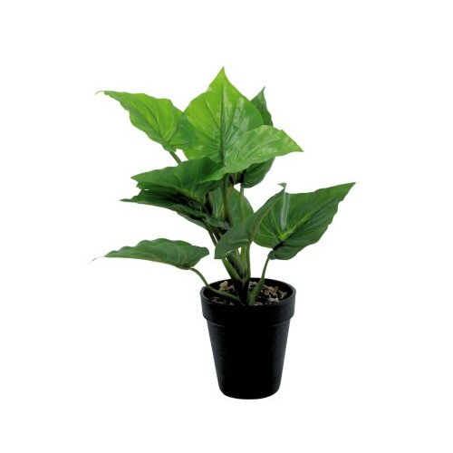 Dekordom Cvet u saksiji - taro mini - 35cm - n55 ( 025082 ) Cene