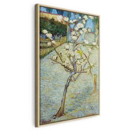  Slika - Vincent van Gogh – Blossoming Pear Tree 40x60 U prirodnom drvenom okviru Cene
